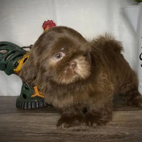 Pablo